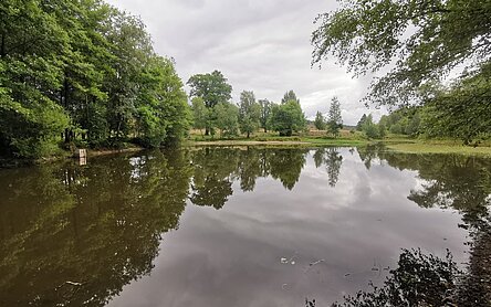 Magazin Hamburg Wasser