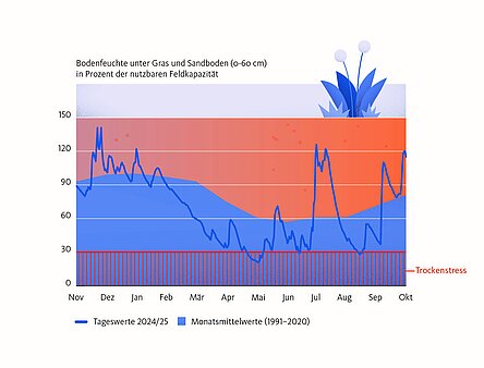 Die Grafik beschreibt die Bodenfeuchte in Prozent der Nutzbaren Qualität. Die Kurve sinkt ist von November bis Februar über 90 Prozent bis hin zu 140 Prozent, sinkt dann aber kontinuierlich bis sie im Mai unter 30 Prozent gefallen ist. Das bedeutet Trockenstress für Pflanzen. Nach einer Erholung Anfang Juni geht es dann noch einmal für zwei Tage nach unten Ende Juni, im Nassen Juli liegt die Bodenfeuchte zwsichen 100 und 120 Prozent, fällt dann im September noch einmal ab um im Oktober wieder auf über 110 zu steigen. 