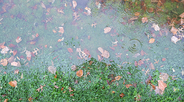 Eine Wasserpfütze auf einer Wiese bei Regen