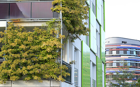 Eine Fassade, die mit Pflanzen bewachsen ist.