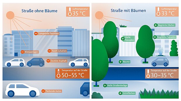 Dass Hamburg kühle Orte inzwischen gezielt sichtbar macht, hat einen einfachen Grund: Städte erwärmen sich deutlich stärker als ihr Umland. Fachleute sprechen dabei vom sogenannten Hitzeinsel-Effekt. Asphalt, Beton und parkende Autos speichern die Sonnenenergie und geben die Wärme nur langsam wieder ab. Besonders deutlich wird das an heißen Sommertagen. Straßenbeläge und parkende Fahrzeuge können sich auf Temperaturen von über 50 Grad aufheizen und damit wesentlich wärmer werden als die umgebende Luft.